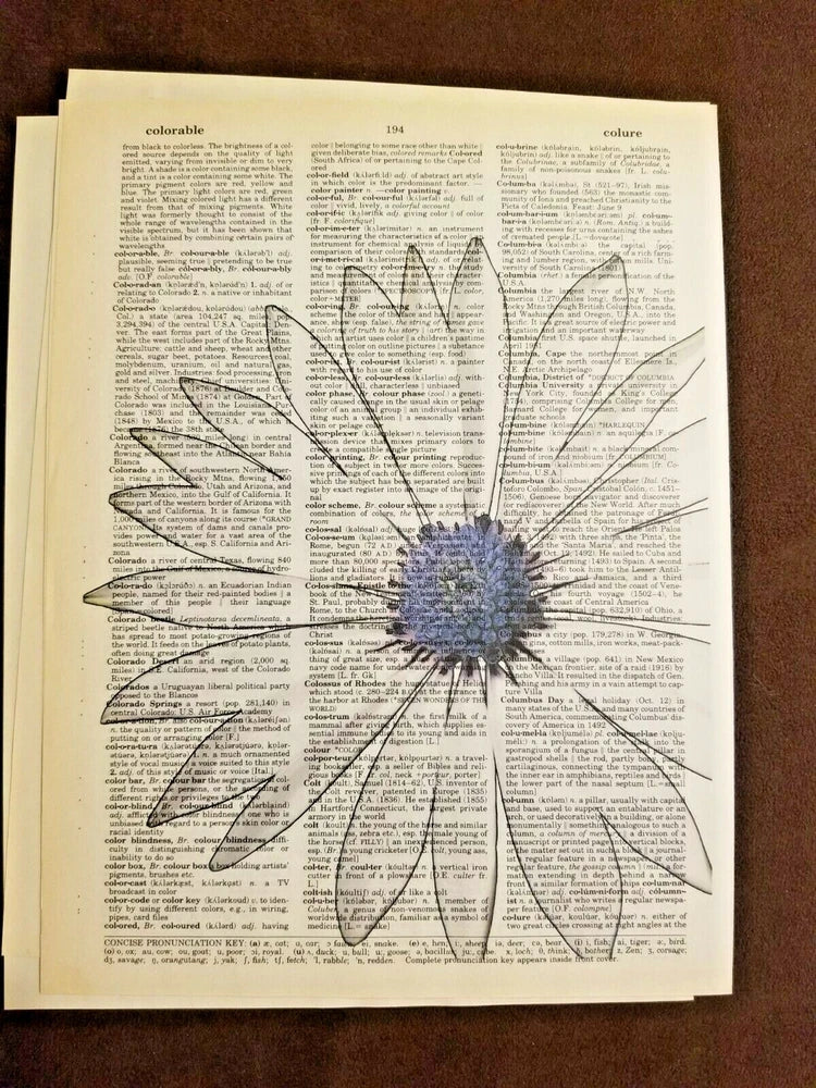 __Blue Daisy Flower Print Dictionary Paper__ 10.75x8.25 Poster Sunflower Violet Sunflower