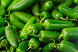 50+ JALAPENO PEPPER SEEDS NON-GMO FRESH FOR YOUR GARDEN Garden Plants