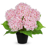 18" Hydrangea Artificial Flowers Plant in Black Plastic Pot, Faux Hydrangeas ... Hydrangea