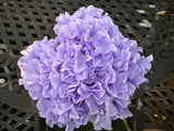 Artificial  Hydrangea Flowers Ð Lilac Faux Blooms Ð 7 Flower Stems per Bundle Hydrangea