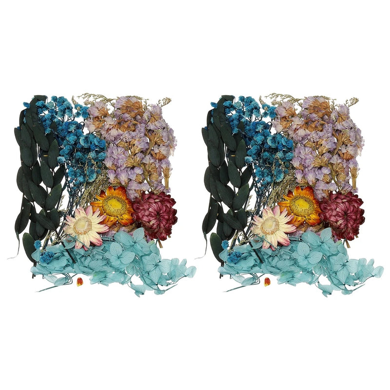 Dried flower set: blue, tan and purple pressed flowers with dark green leaves, 2 sets