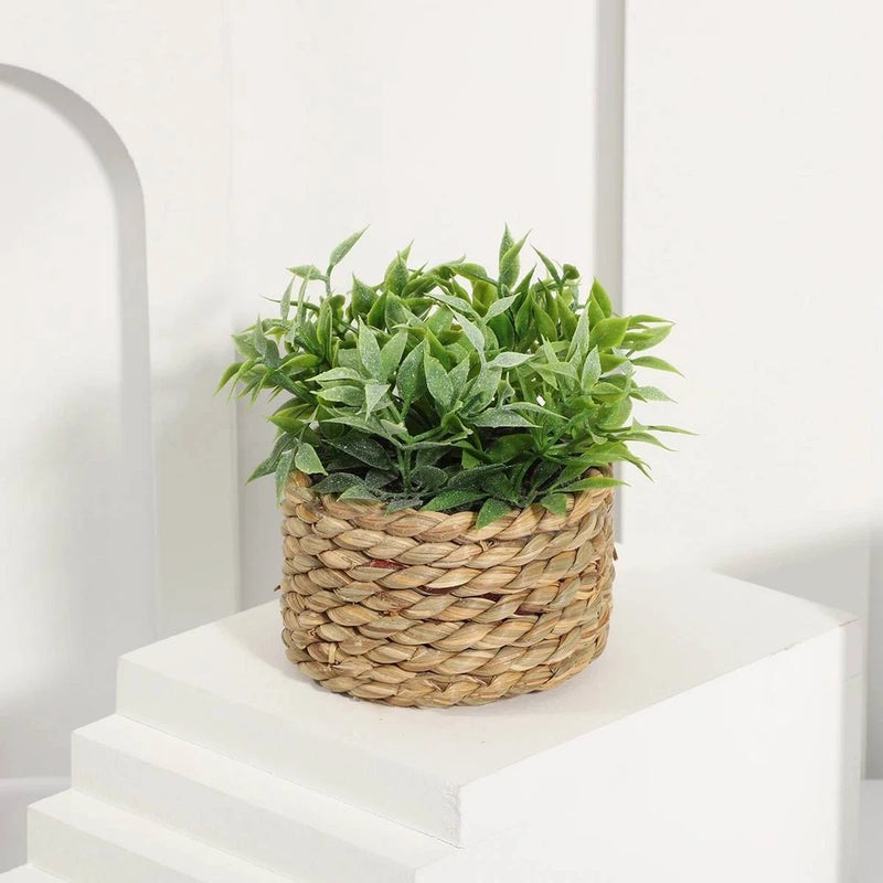 Green Artificial Grass Pots Eucalyptus Woven Small Potted Mound Home Decoration Green Plant