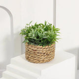 Green Artificial Grass Pots Eucalyptus Woven Small Potted Mound Home Decoration Green Plant