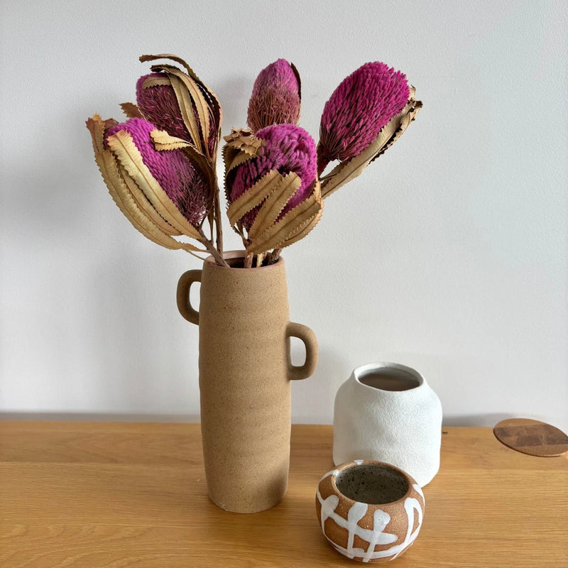 Dried pink banksia stems in kraft paper cylindrical vase with side handles