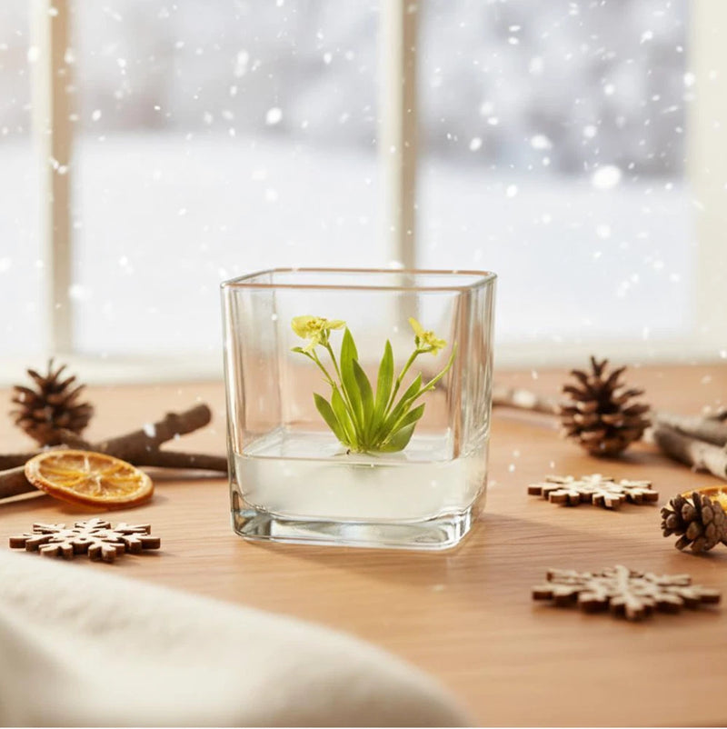 Glass votive planter with small green sprout and light yellow flowers