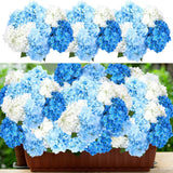 Blue and White 6 Bundles Hydrangea Artificial Flowers Bulk 30 Heads 20'' Faux... Hydrangea