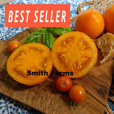 50+ Seeds Marmalade Skies Tomato Juicy Easy to Grow Vegetable Garden Planting Garden Plants