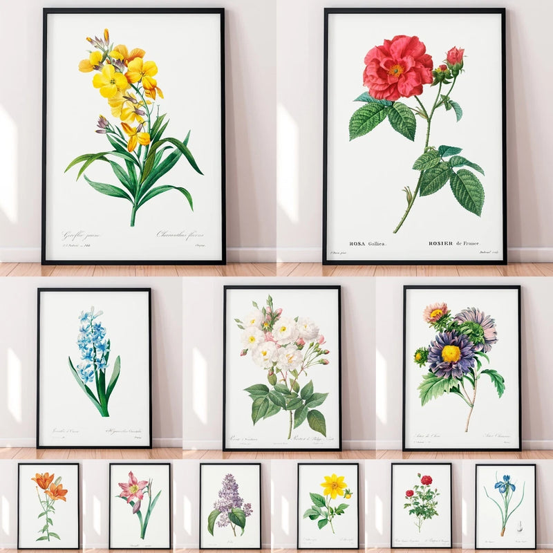Framed botanical flower art poster, vintage floral print with colorful blooms and leaves