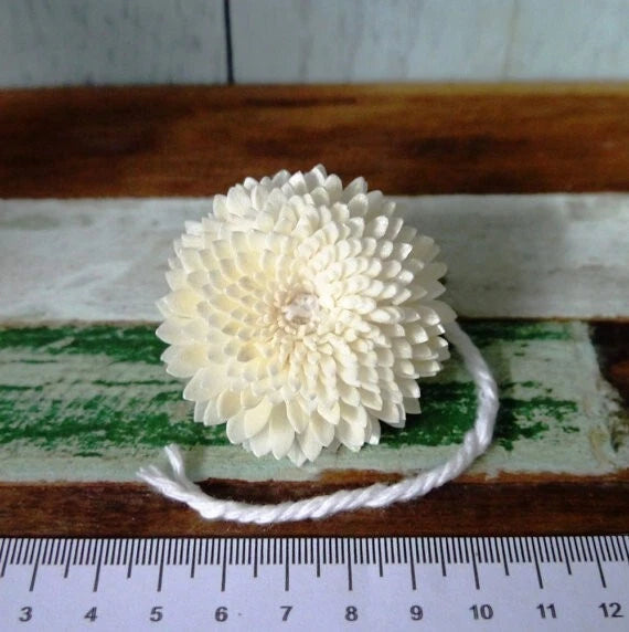 5 cm sola wood diffuser flower with cotton rope, white chrysanthemum