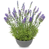 Artificial Lavender Flowers with Cement Pot - 12.9" Fake Lavender Flower Rust... Green Plant
