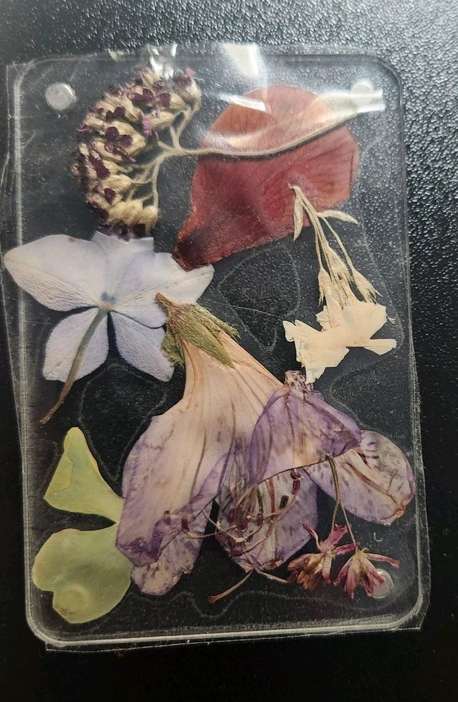 Pressed dried flower resin card with white, purple, green leaves and petals