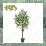 5.2FT Olive Tree in Pot Artificial Plant with  Green Leaves Natural Trunk Home Green Plant