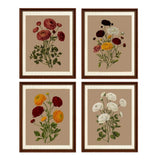 Ranunculus Flowers Prints,Vintage Floral Painting Botanical Canvas Wall Art P... Ranunculus