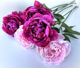 Peony Flower Stem Fuchsia Pink Faux Silk Flowers Artificial Peonies Light Pink Peony