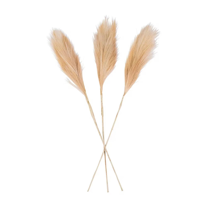 Pampas Grass, All Seasons, Home Decor, Faux Floral Accessories, 3 Pieces Pampas Grass