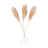 Pampas Grass, All Seasons, Home Decor, Faux Floral Accessories, 3 Pieces Pampas Grass