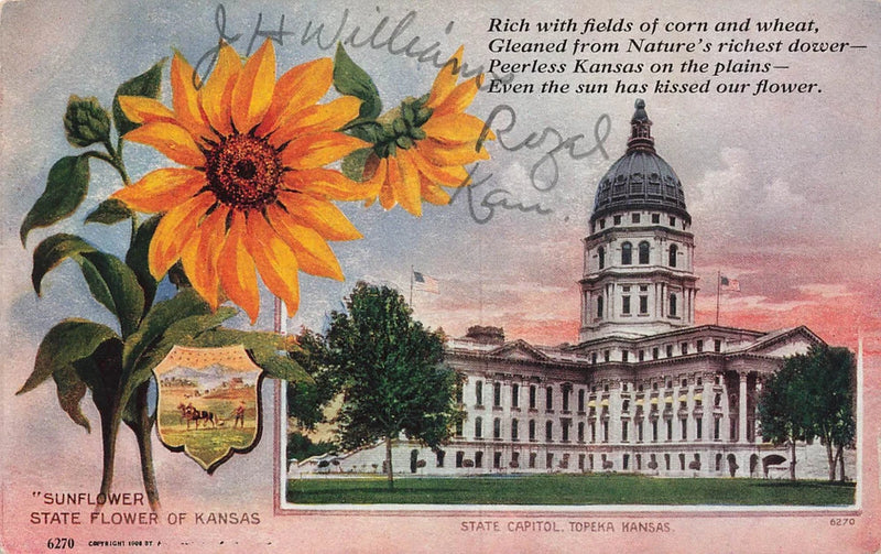 KANSAS KS VINTAGE STATE CAPITOL AND FLOWER SUNFLOWER c1910 POSTCARD 041525 U Sunflower