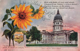 KANSAS KS VINTAGE STATE CAPITOL AND FLOWER SUNFLOWER c1910 POSTCARD 041525 U Sunflower