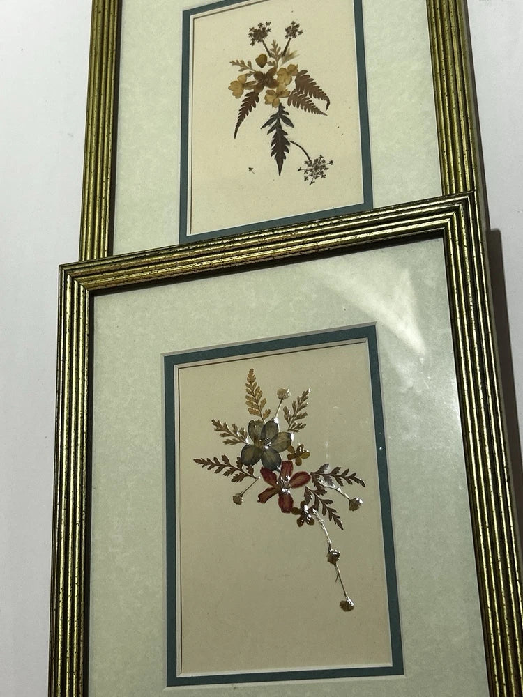 Vintage pressed flowers wall art, two framed botanical prints with pressed leaves
