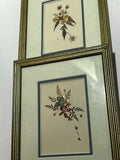 Vintage Pressed Flowers Art Dried Flower