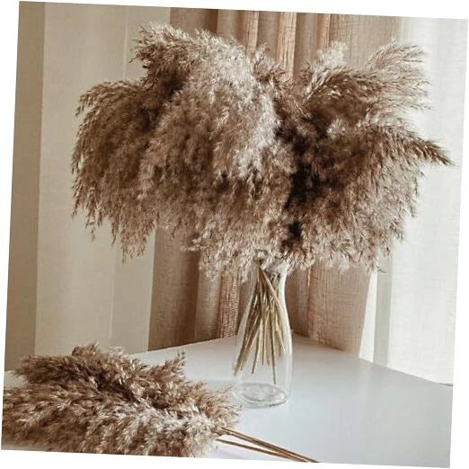 30 Stems Home Decor - Natural Dried Pampas Grass, Fluffy Brown 30brown-17 Inch Pampas Grass