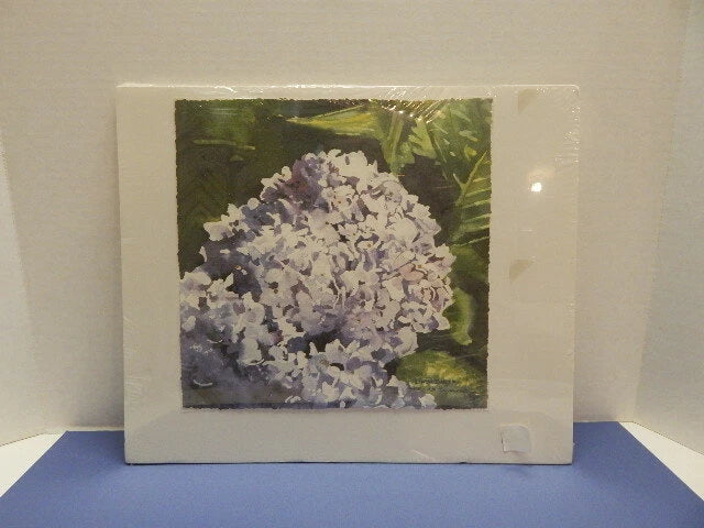 Print, Linda Baker 160/450 Hydrangea (11 x 11) Hydrangea