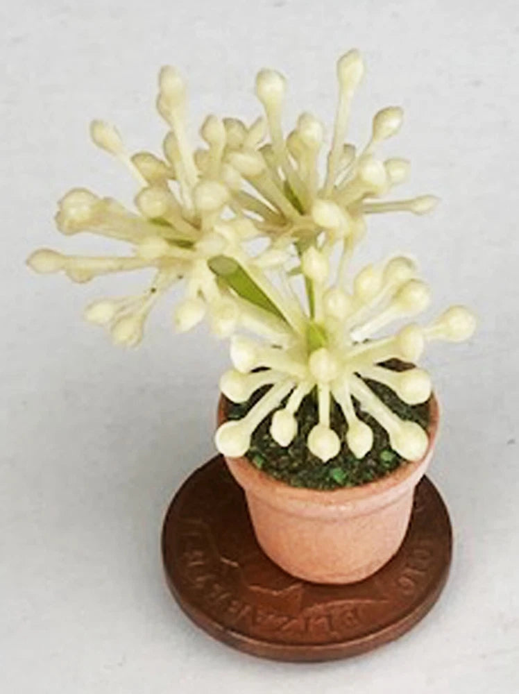 Dolls House Light Green Plastic Plant + Cream Flowers In A Pot Garden ZCC tumdee Flowering Plants