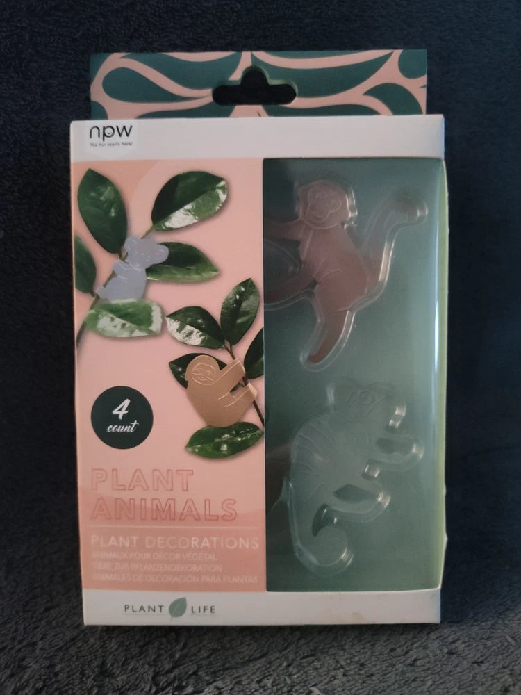 Plant Animals Plant Decorations Green Plant