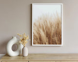 Pampas Grass Savana Poster Premium Quality Choose your Size Pampas Grass