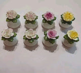 8 Assorted Aynsley Bone China Floral Salt & Pepper Shakers Roses Carnations Carnation