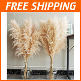 Natural Beige Pampas Grass Decor 10 Stems 40" Tall Pampas Grass