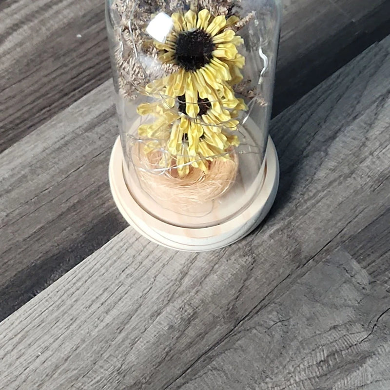 Glass dome preserved sunflower ornament with warm LED light inside and light wooden base