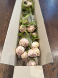 Michael's Ashland Tan Peony Stems Set of 8 New Peony