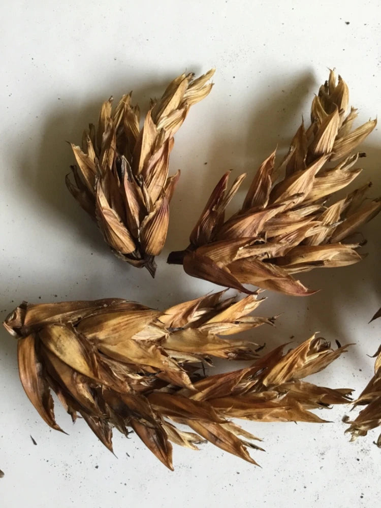 Bundle of dried flower petals in tan and brown tones for floral crafts