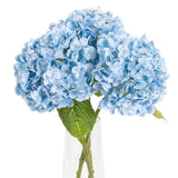 3 Pcs Light Blue Hydrangea Artificial Flowers,21 inches Latex Real Touch Faux... Hydrangea