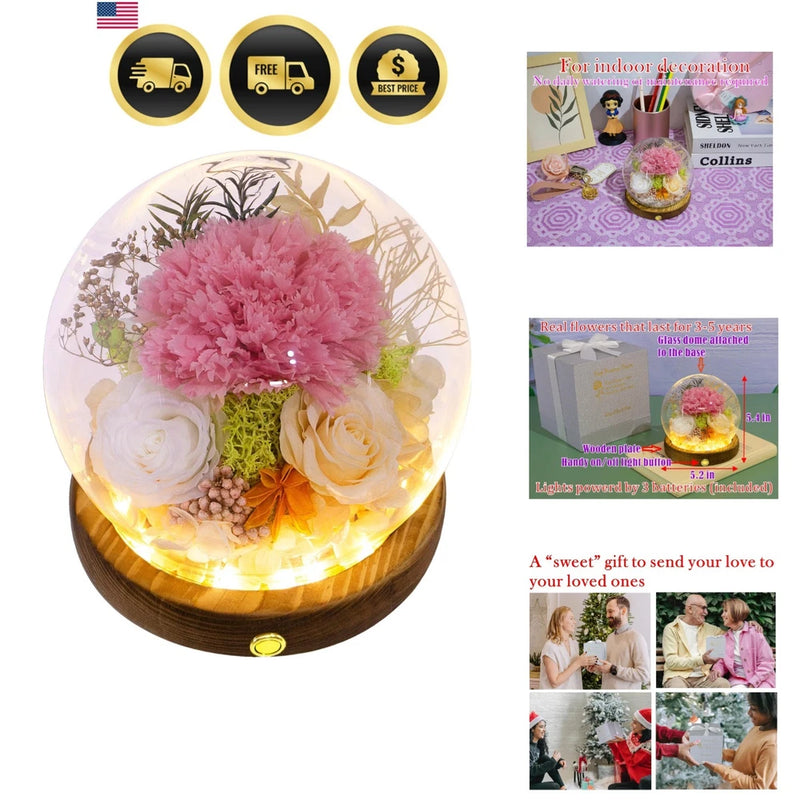Real Preserved Flowers Gift Pink Carnation Roses Floral Arrangement Decor Carnation