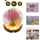Real Preserved Flowers Gift Pink Carnation Roses Floral Arrangement Decor Carnation