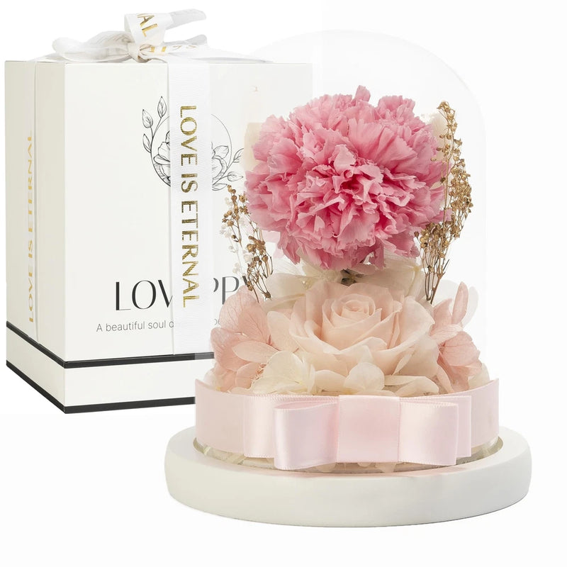 Pink and blush preserved flowers in clear glass dome on white base with ribbon
