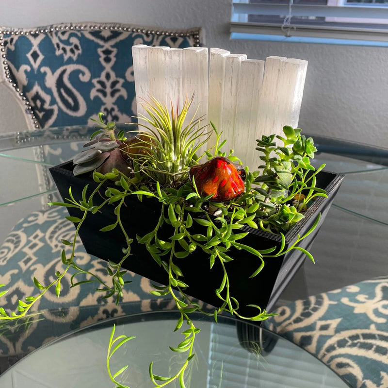 Black Crystal Garden - Indoor plants and succulents pot with Selenite Crystals Garden Plants
