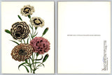 Dover Botanical Postcard Pinks Carnations Jane Loudon Flower Garden 1993 Carnation