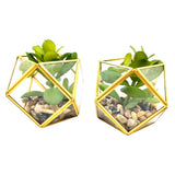 Set of (2) 5" x 4" Artificial Succulent Plant with Brass Terrarium - Opalhouse Green Plant
