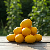 Vine Peach Seeds (Mango Melon Seeds) Cantaloupe Seeds, 10s Heirloom USA - SWEET! Flowering Plants