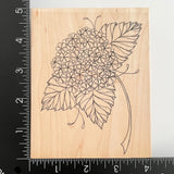 Impression Obsession Hydrangea Flower L2154 Wood Mounted Rubber Stamp Hydrangea