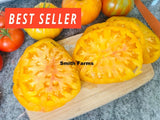 50+ Seeds Chef's Choice Bi Color F1 Tomato Easy Vegetable Garden Planting Edible Garden Plants