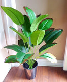 26" Hight Artificial Tropical Plant Banana Tree (#119) Lifelike 18 Autumn Leaves Green Plant