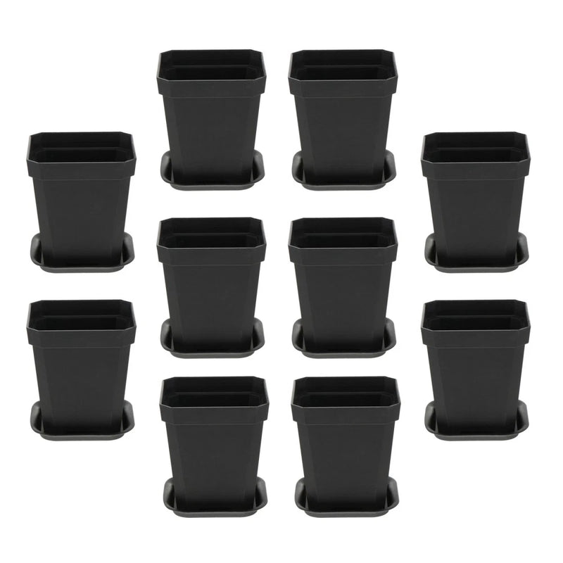 Set of 10 black plastic square planters with saucers for seed starting