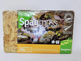 Brick of BESGROW Premium New Zealand Spagmoss Sphagnum Moss 100g/8L Hydrated Orchids