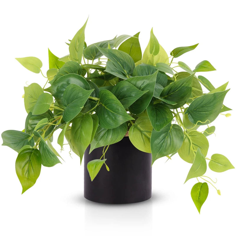 Artificial pothos plant with green leaves in a black ceramic pot