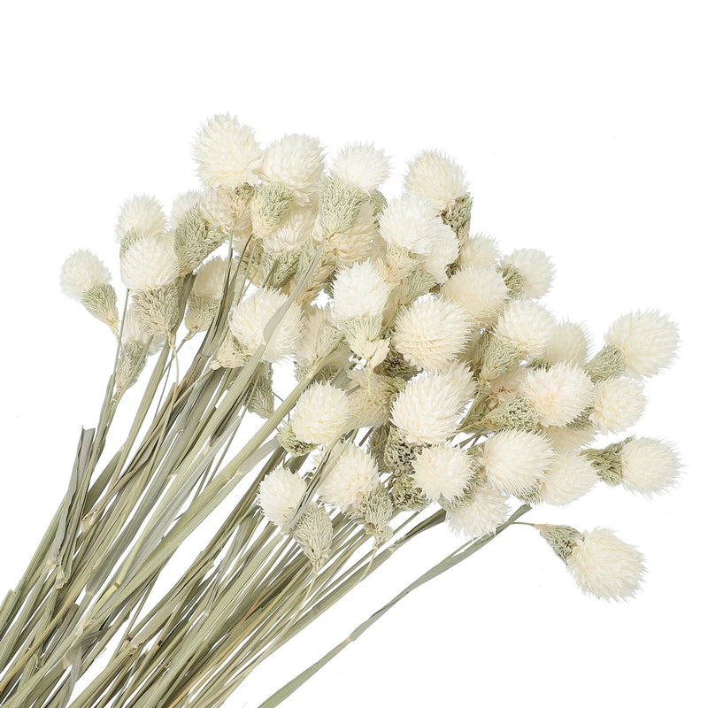 60 Pcs 16 Inch Dried Flowers for Vase Mini Pine Ball Flowers White Dried Flower