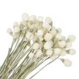 60 Pcs 16 Inch Dried Flowers for Vase Mini Pine Ball Flowers White Dried Flower